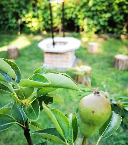 Apartament Tornacos Vendeghaz Eger